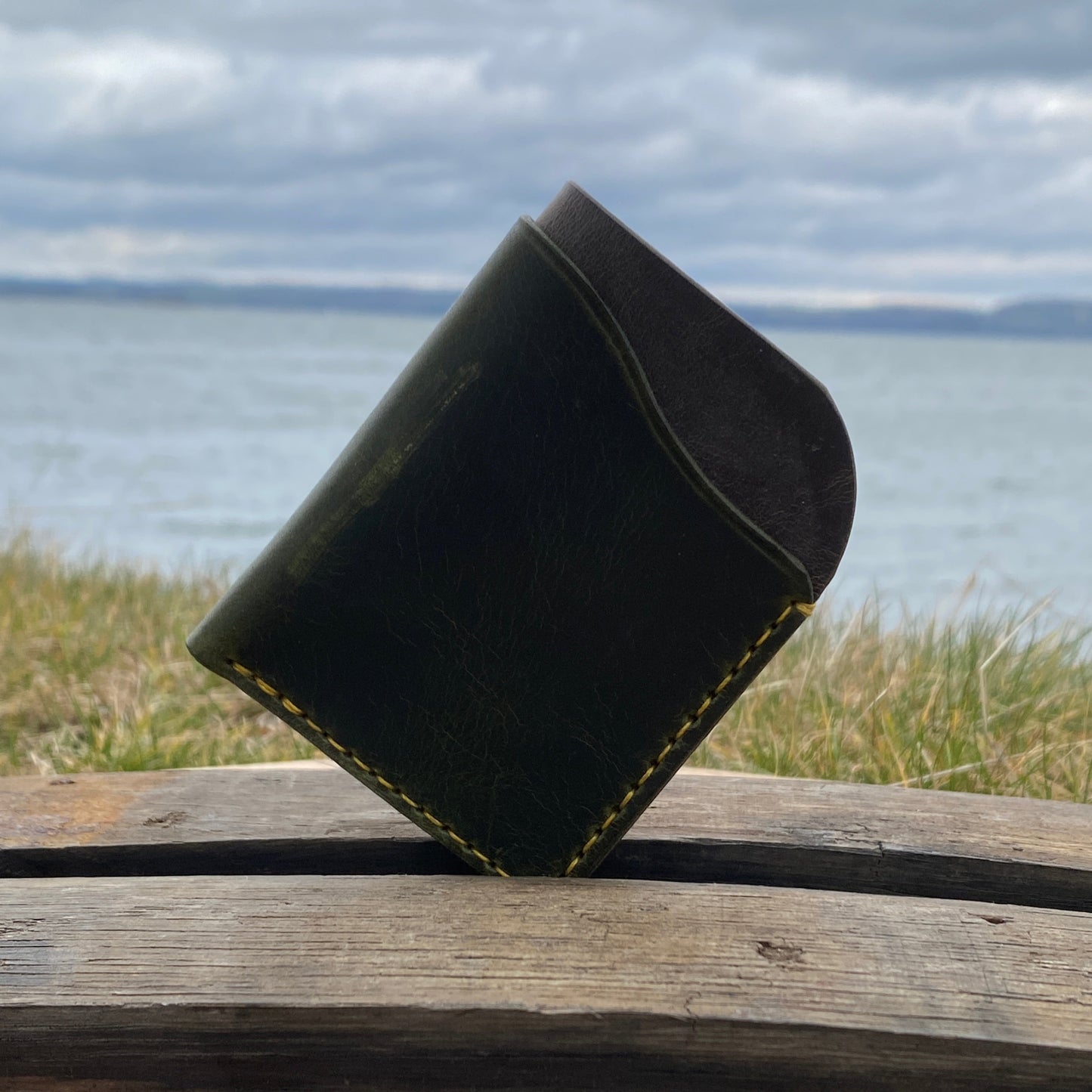 Folded card case (Badalassi Olive)